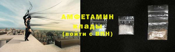 ПСИЛОЦИБИНОВЫЕ ГРИБЫ Алзамай