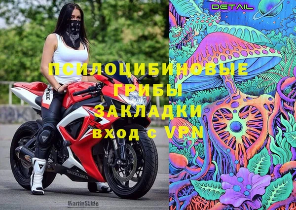 ПСИЛОЦИБИНОВЫЕ ГРИБЫ Алзамай
