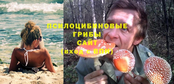 ПСИЛОЦИБИНОВЫЕ ГРИБЫ Алзамай
