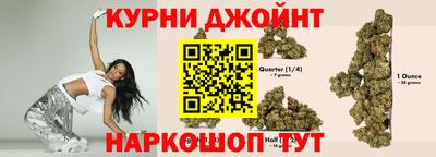 гашик Дубна