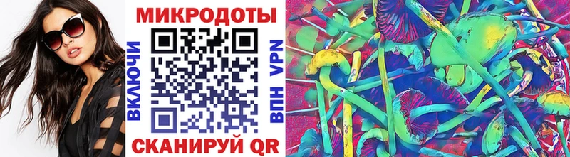 Галлюциногенные грибы Psilocybine cubensis  Мичуринск 