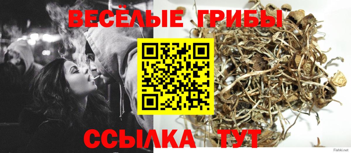 Мичуринск  Галлюциногенные грибы прущие грибы  дарнет шоп  Вход с VPN  Псилоцибиновые грибы мицелий 