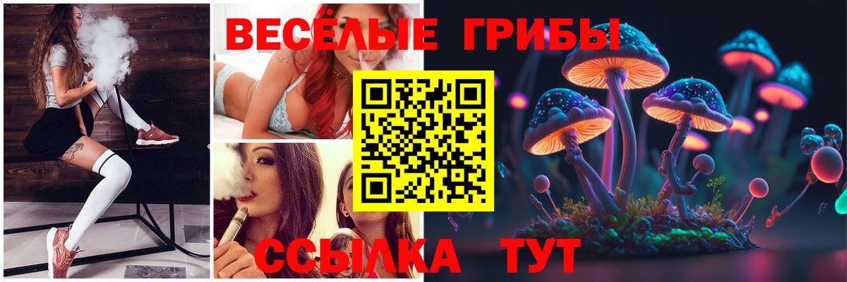 Галлюциногенные грибы Magic Shrooms Мичуринск