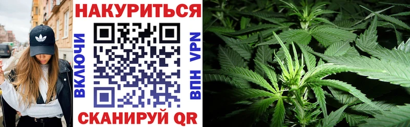 Канабис планчик  дарнет шоп  Мичуринск 